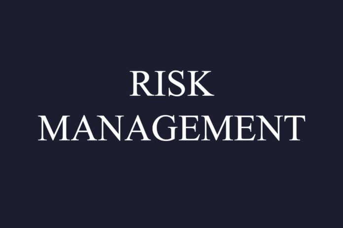 risk management significato