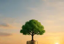 Trading vs. Investimento a lungo termine: approcci a confronto (con esempi reali) Trading vs Investimento a lungo termine